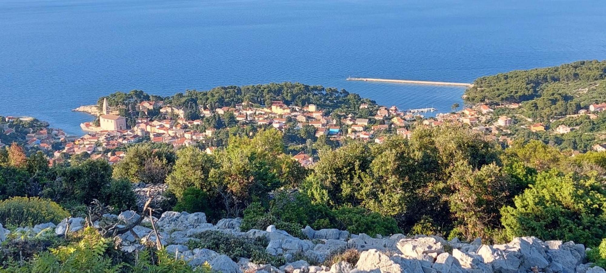 Glaucus Veli Lošinj